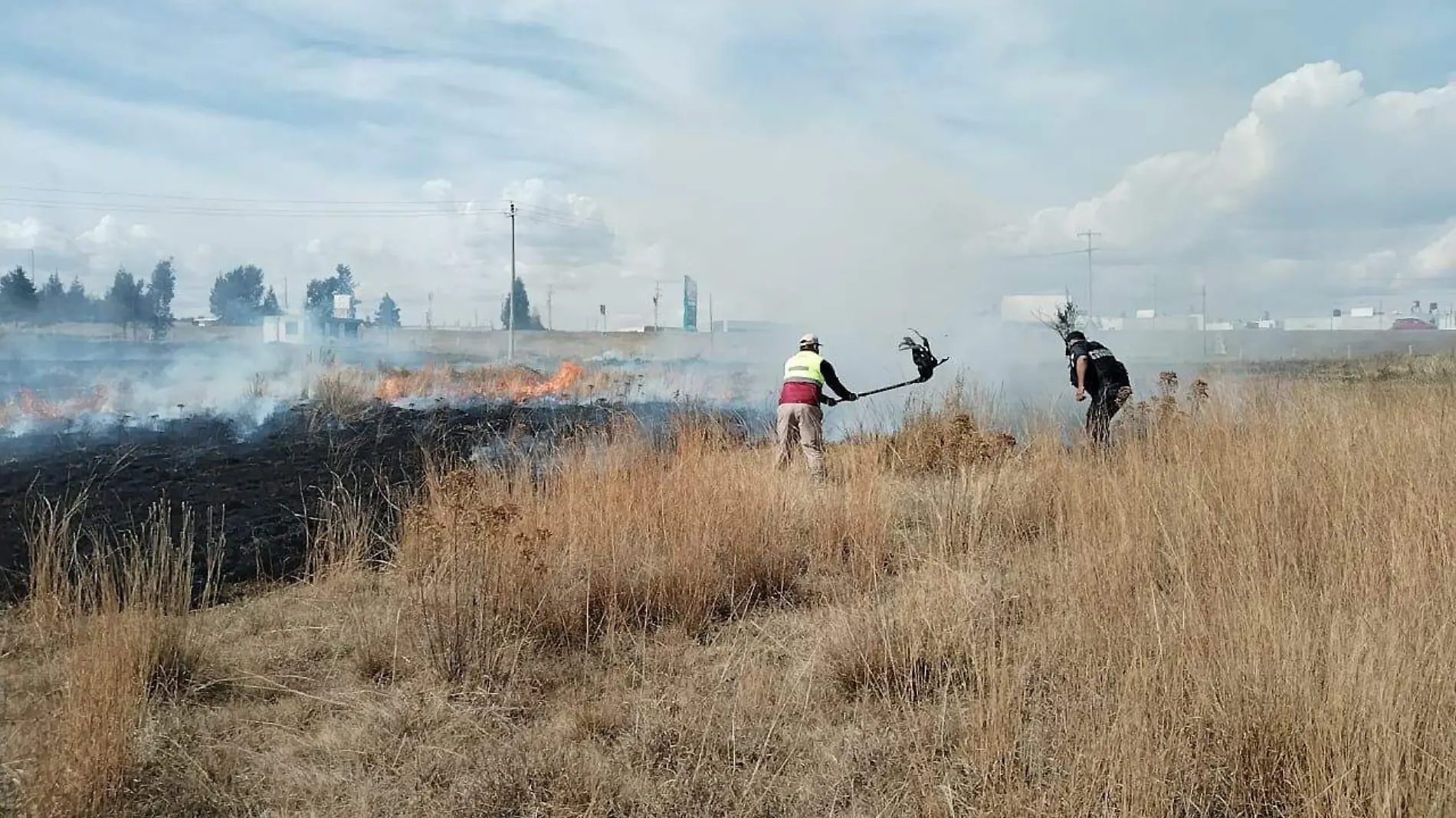 incendio de pastizal (3)